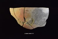 藏品(陶盆)的圖片